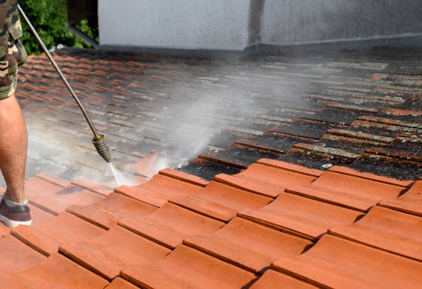 Professional Pressure Washing in Elmwood, LA