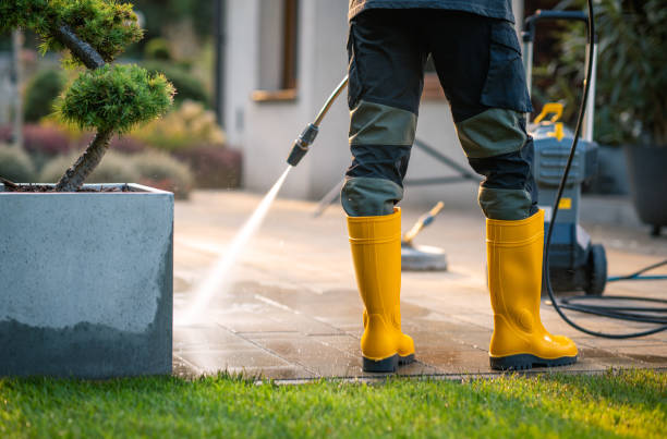 Best Commercial Building Pressure Washing  in Elmwood, LA